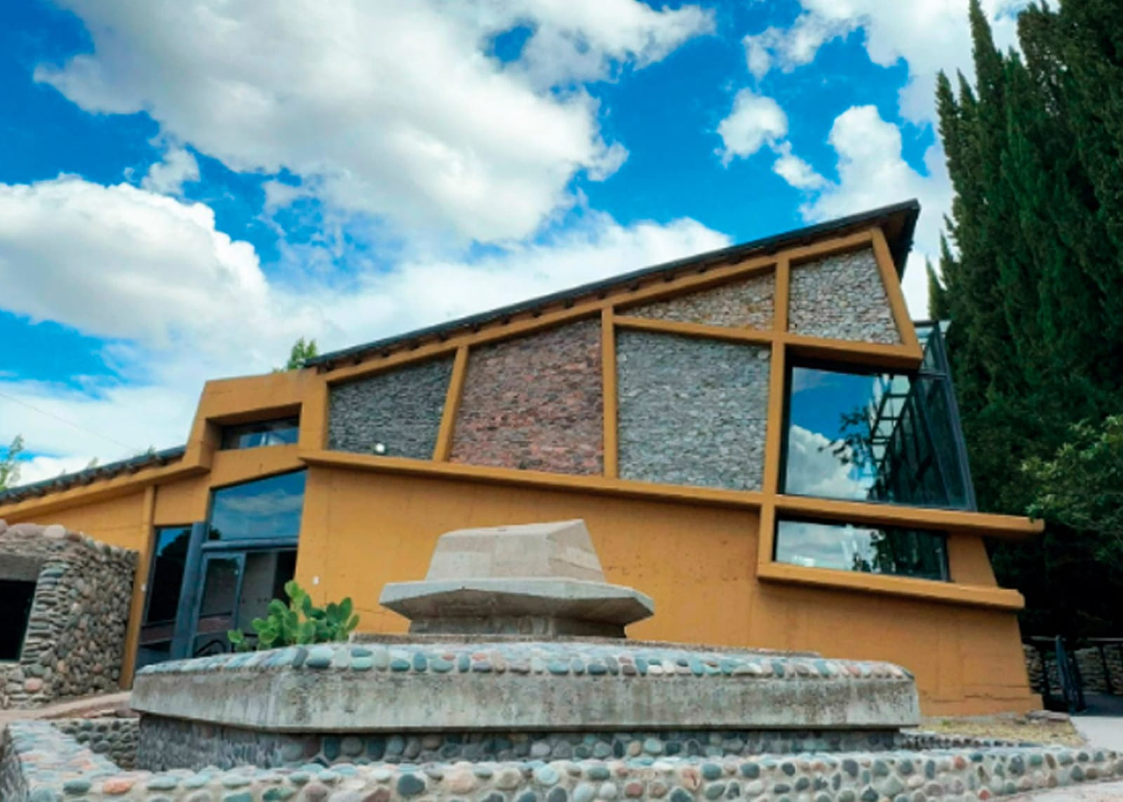 Olivícola de Gabriel Guardia, Alejandro Vigil de Maipú crece de Mendoza