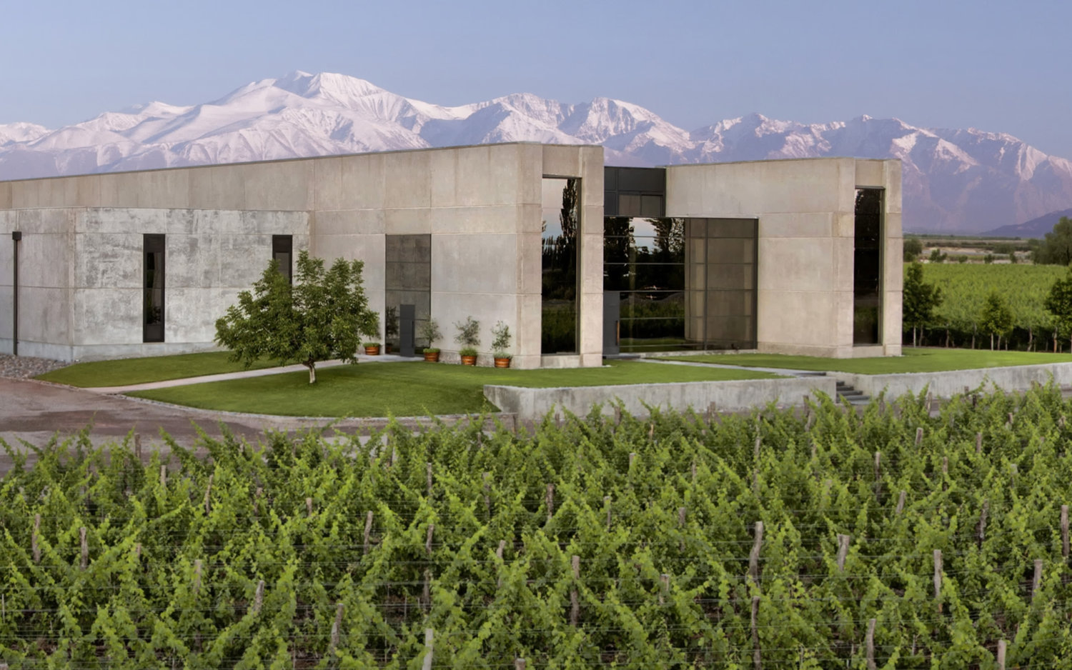 Viña Cobos em Mendoza