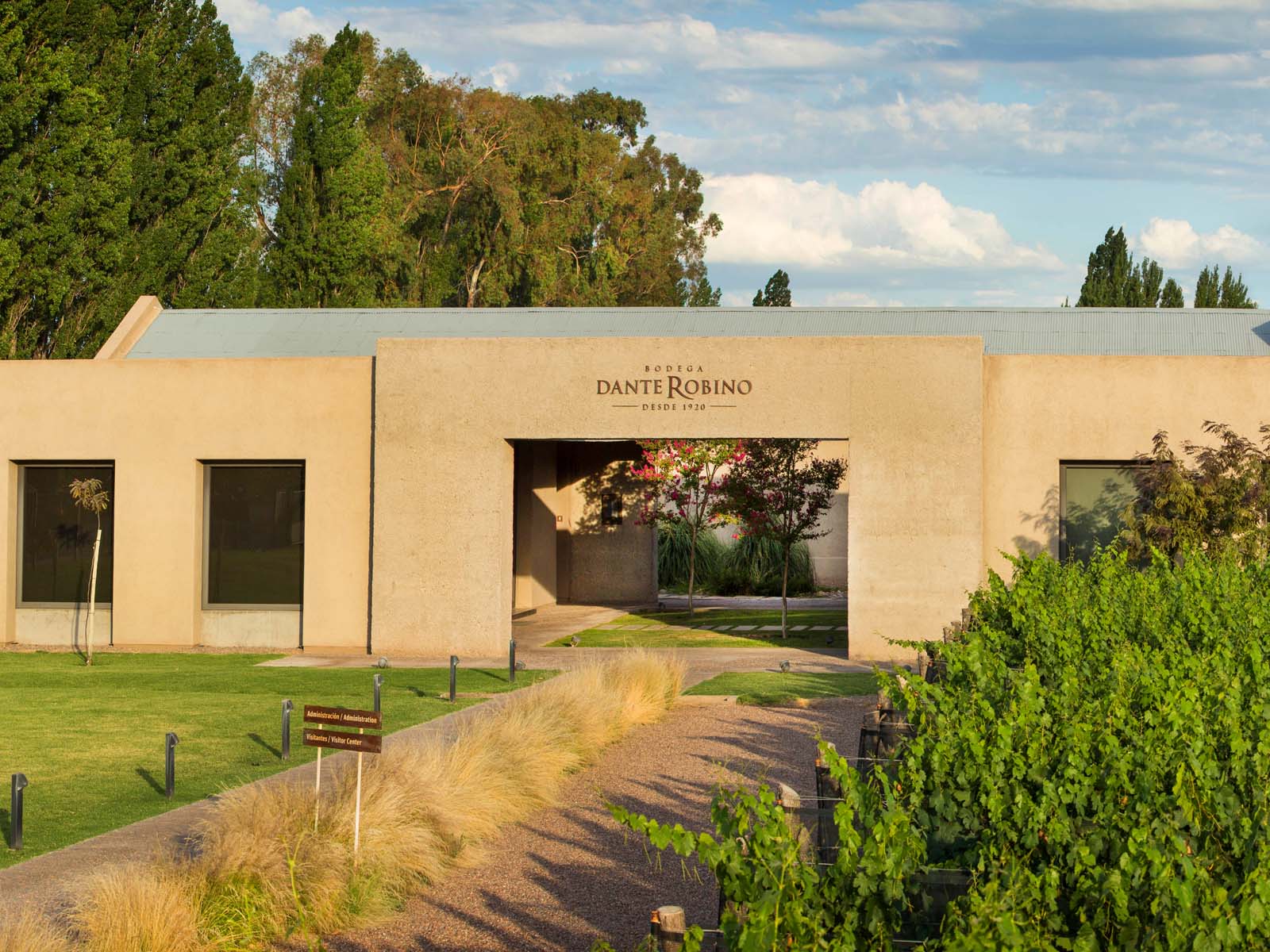 Vinícola bodega Dante Robino