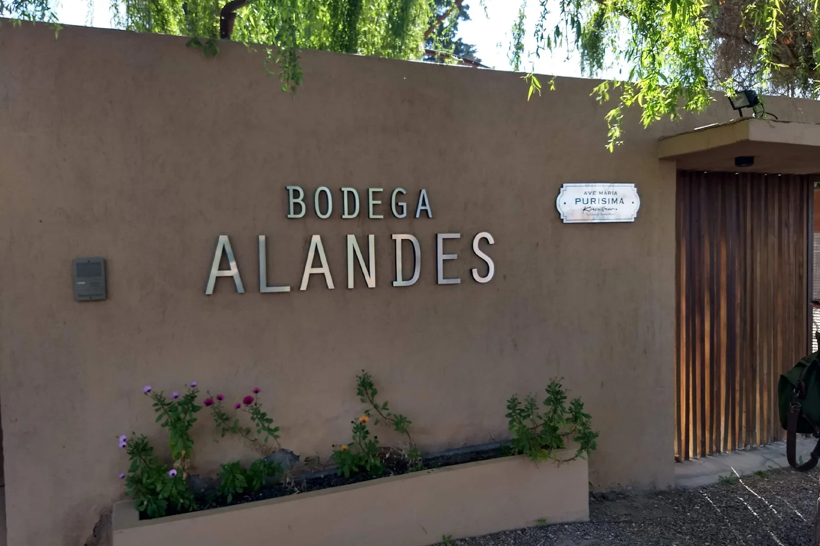 Vinícola Bodega Alandes de Maipu crece Mendoza