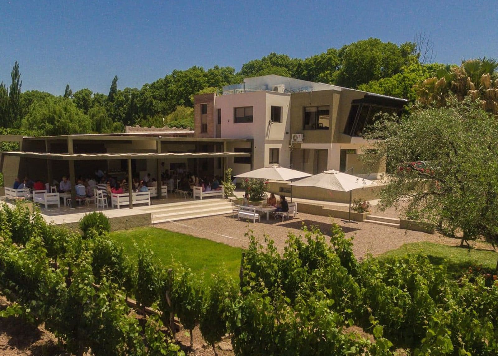 Olivícola Laur de Maipu crece de Mendoza