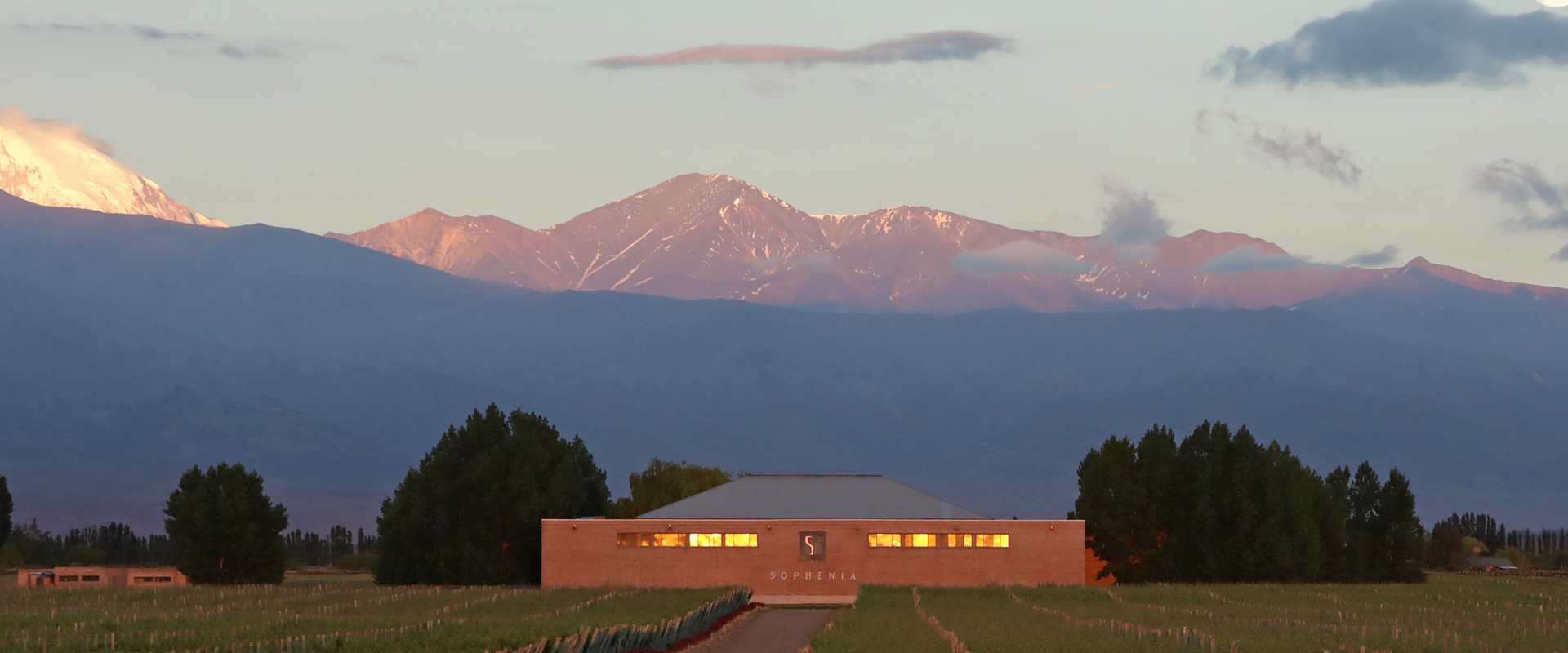 Vinícola Bodega Sophenia, Valle de Uco